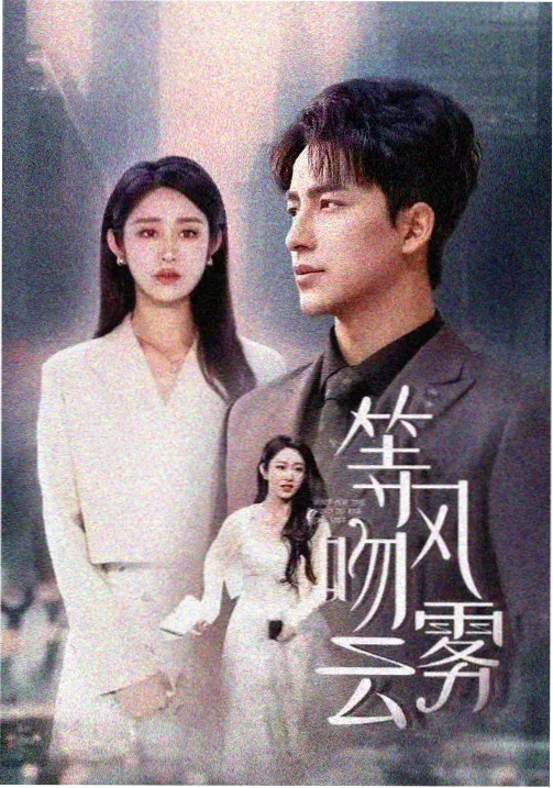 放放电影网 城中之城